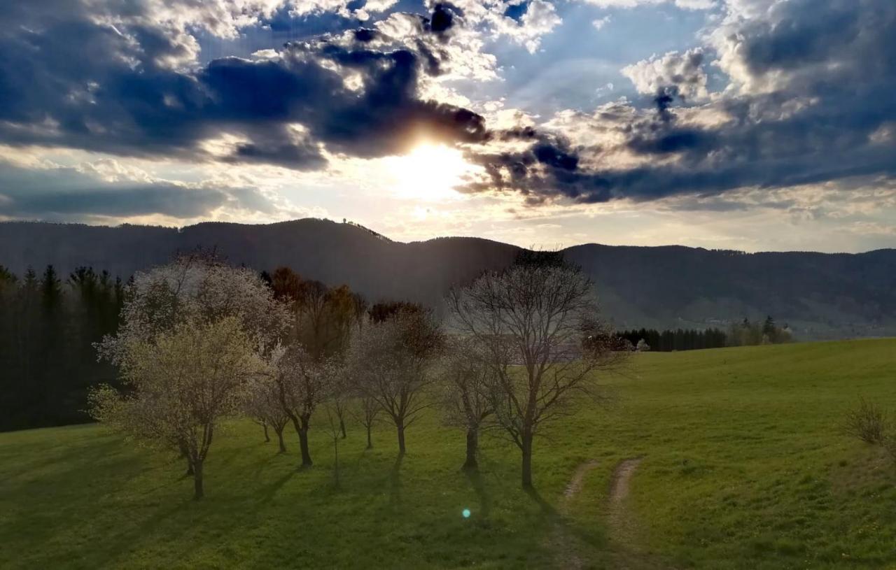 Pension Irlingerhof Mondsee Buitenkant foto